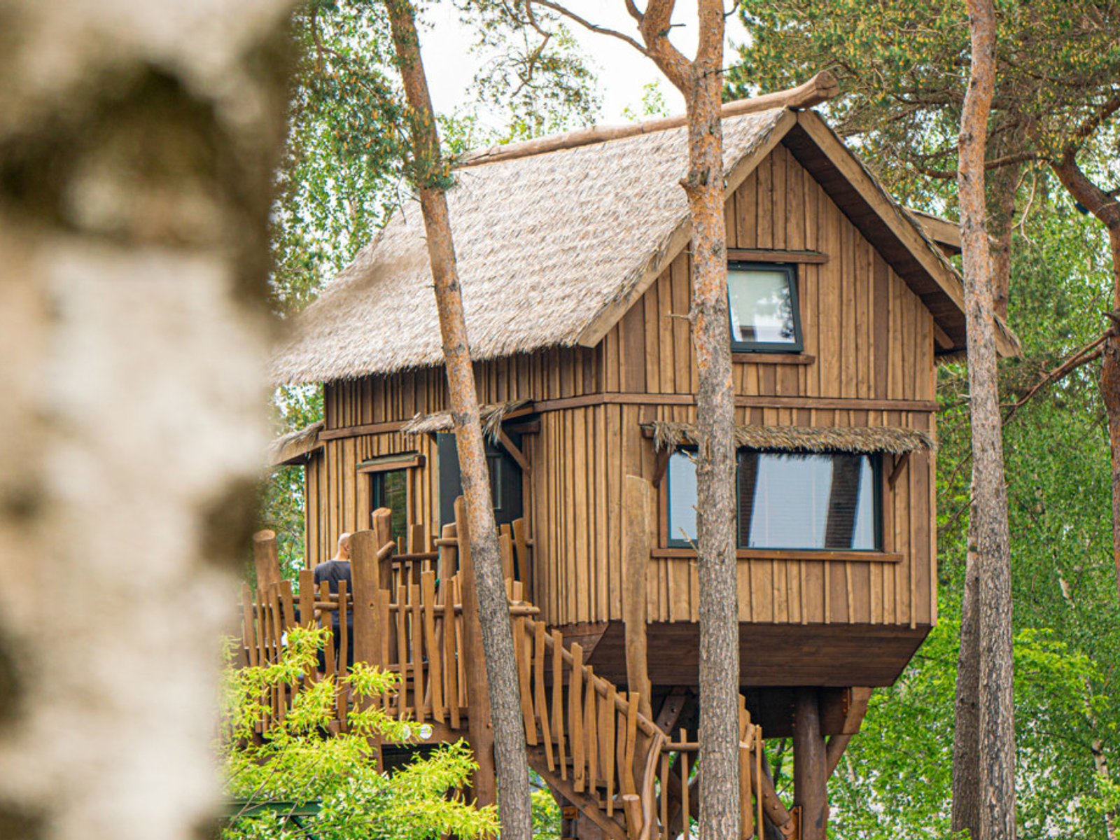 10 Leuke Huisjes op de Beekse Bergen (Dichtbij de Dieren)